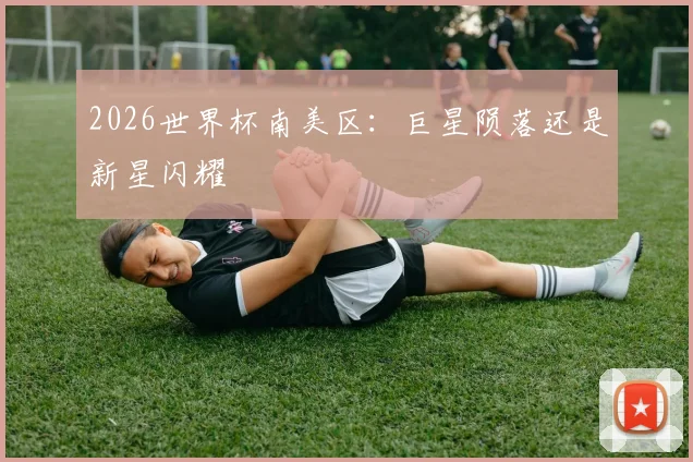 2026世界杯南美区:巨星陨落还是新星闪耀